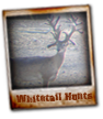ADL 7 Hunting Ranch - Whitetail Hunts